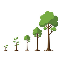 Obraz premium “Tree Growth Stages Illustration – Young Seedling to Mature Tree Vector”