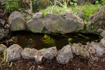 Botanic garden Cabildo de Gran Canaria, Spain