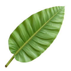 Fototapeta premium Vibrant Green Leaf Isolated on White Background for Nature Themes