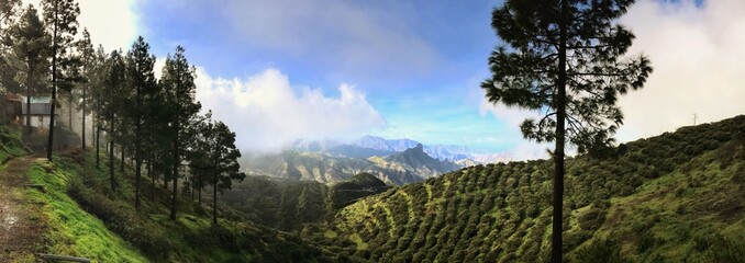 Panoramic highland landscape with mountains, trees, and cloudy skies during daylight
