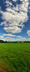 Panoramic view of a green field with a blue sky and fluffy clouds