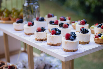 A close-up of gourmet mini cheesecakes topped with fresh berries, served on a white cake stand. The clean composition and vibrant colors make it ideal for food branding, catering promotions.