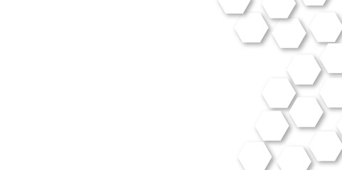 Abstract technology white and grey geometric hexagon shape on white background vector.
