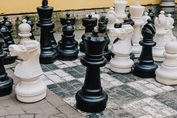 Black and white chess set with a white king and black pawns is displayed on a black and white...