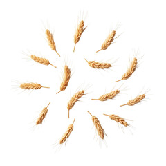 A bunch of dried ears of wheat