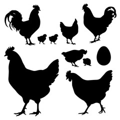 Silhouettes of various chickens, roosters, and chicks arranged in a grid pattern on a white background, showcasing different poses and feather shapes in a clean vector style.