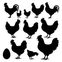 Silhouettes of various chickens, roosters, and chicks arranged in a grid pattern on a white background, showcasing different poses and feather shapes in a clean vector style.