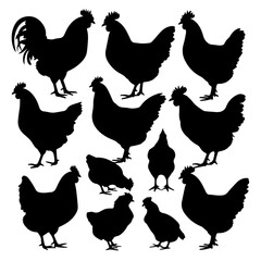 Silhouettes of various chickens, roosters, and chicks arranged in a grid pattern on a white background, showcasing different poses and feather shapes in a clean vector style.