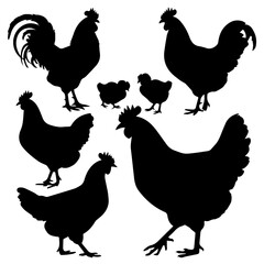 Silhouettes of various chickens, roosters, and chicks arranged in a grid pattern on a white background, showcasing different poses and feather shapes in a clean vector style.