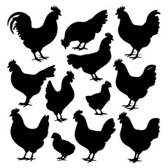 Silhouettes of various chickens, roosters, and chicks arranged in a grid pattern on a white background, showcasing different poses and feather shapes in a clean vector style.