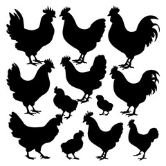 Silhouettes of various chickens, roosters, and chicks arranged in a grid pattern on a white background, showcasing different poses and feather shapes in a clean vector style.