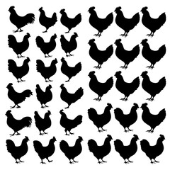 Silhouettes of various chickens, roosters, and chicks arranged in a grid pattern on a white background, showcasing different poses and feather shapes in a clean vector style.