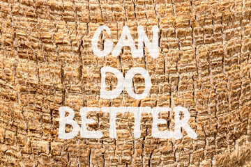 Can do better symbol. Concept words Can do better on beautiful palm bark. Beautiful palm bark background. Business and can do better concept. Copy space.