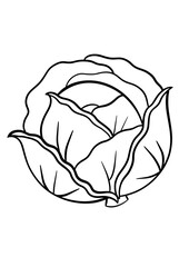Detailed black and white cabbage outline for coloring and botanical design