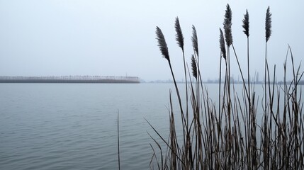 A serene lake with tall grasses in the foreground and a distant shoreline in the background.