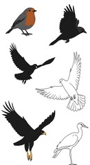 Obraz premium Wings of the Wild AI Generated