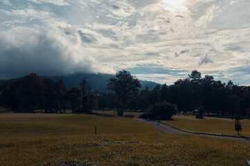 Serene landscape with golden grass and dramatic clouds in the background, creating a calm atmosphere ideal for relaxation and outdoor activities