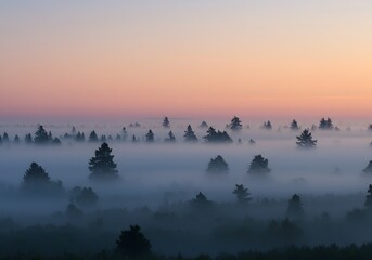 Misty Forest at Sunset Trees in Fog, Serene Landscape with Colorful Sky and Nature's Beauty.