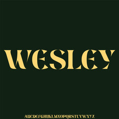 Elegant luxury decorative serif alphabet display font vector illustration