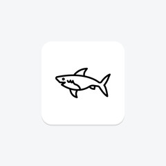 Shark, vector, pixel perfect, illustrator file