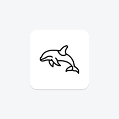 Orca, vector, pixel perfect, illustrator file