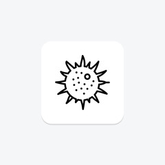 Sea Urchin, vector, pixel perfect, illustrator file