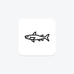 Barracuda, vector, pixel perfect, illustrator file