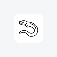 Moray Eel, vector, pixel perfect, illustrator file