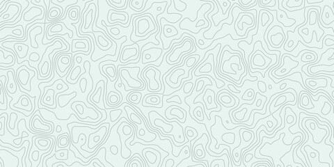 Topographic background and texture, monochrome. Black and white abstract Seamless Pattern with Contour Lines map.