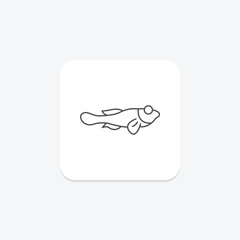 Fototapeta premium Blenny, vector, pixel perfect, illustrator file