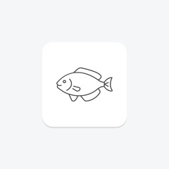 Halibut, vector, pixel perfect, illustrator file