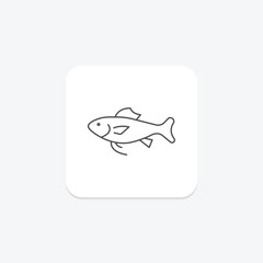 Cod, vector, pixel perfect, illustrator file