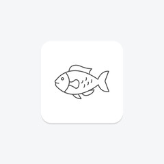 Parrotfish, vector, pixel perfect, illustrator file