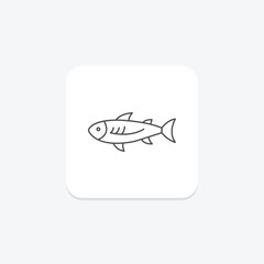 Anchovy, vector, pixel perfect, illustrator file