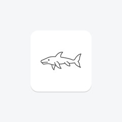 Goblin Shark, vector, pixel perfect, illustrator file