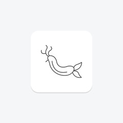 Nudibranch, vector, pixel perfect, illustrator file