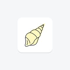 Seashell, vector, pixel perfect, illustrator file