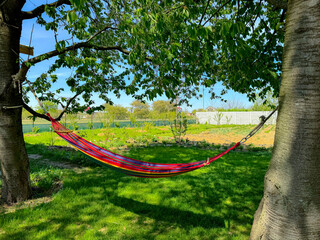 Colorful hammock hung between trees in a peaceful garden setting
