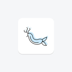 Nudibranch, vector, pixel perfect, illustrator file