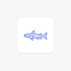 Barracuda, vector, pixel perfect, illustrator file