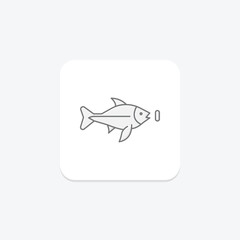 Archerfish, vector, pixel perfect, illustrator file