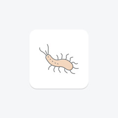 Sea Slug, vector, pixel perfect, illustrator file