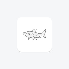 Zebra Shark, vector, pixel perfect, illustrator file