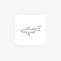 Bamboo Shark, vector, pixel perfect, illustrator file