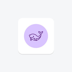 Whale, vector, pixel perfect, illustrator file