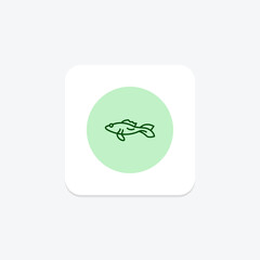 Mudskipper, vector, pixel perfect, illustrator file