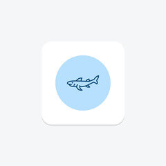 Bamboo Shark, vector, pixel perfect, illustrator file