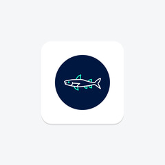 Barracuda, vector, pixel perfect, illustrator file