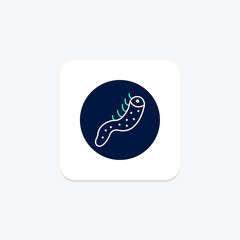 Sea Cucumber, vector, pixel perfect, illustrator file