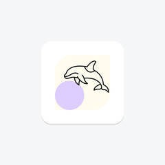 Orca, vector, pixel perfect, illustrator file